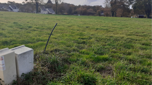 20201110_160309.jpg