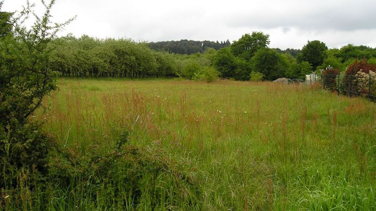Terrain constructible de 2000m2 à Missillac/ image 1