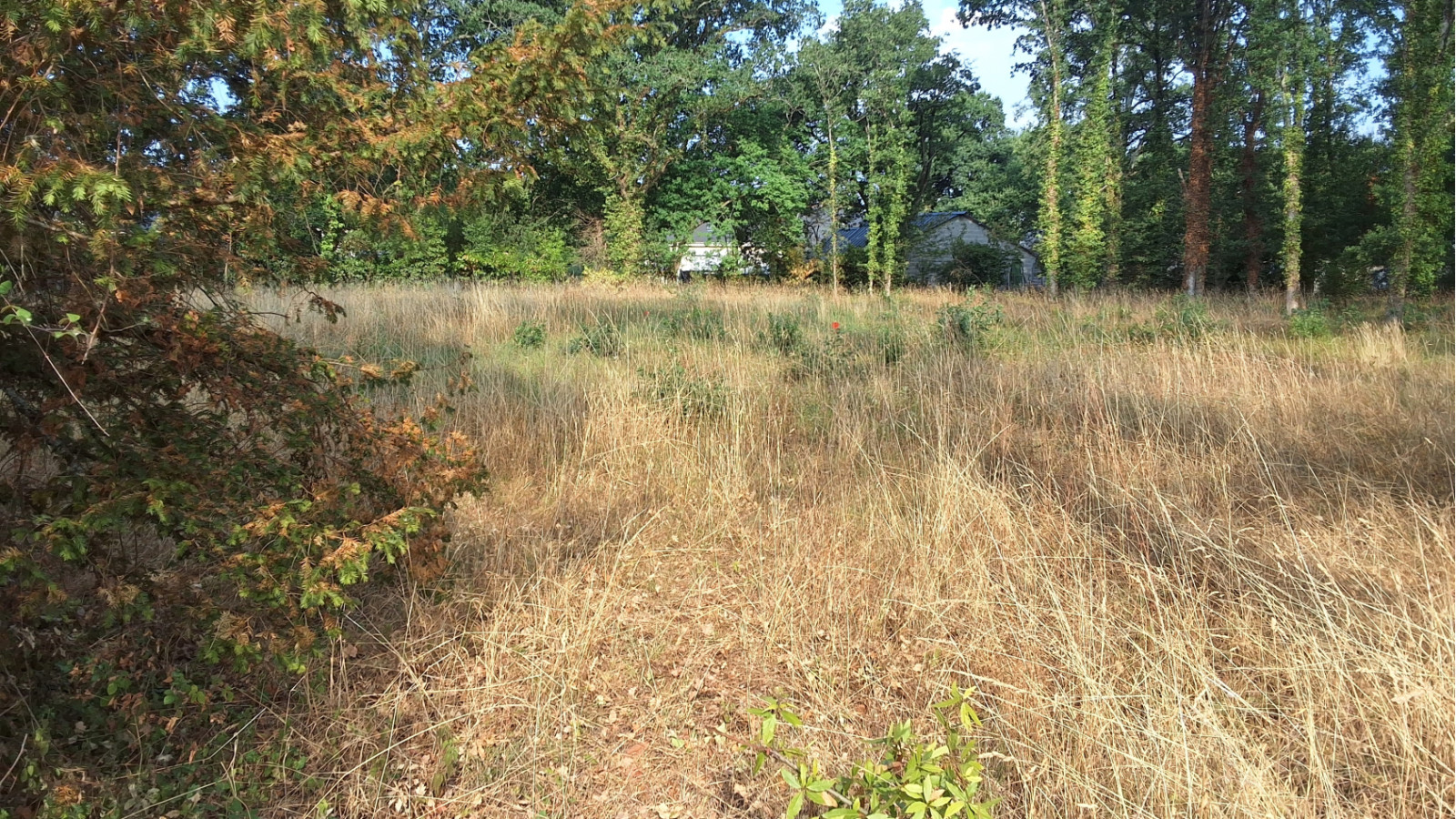 Terrain constructible de 480m2 à La Chapelle-des-Marais/ image 1