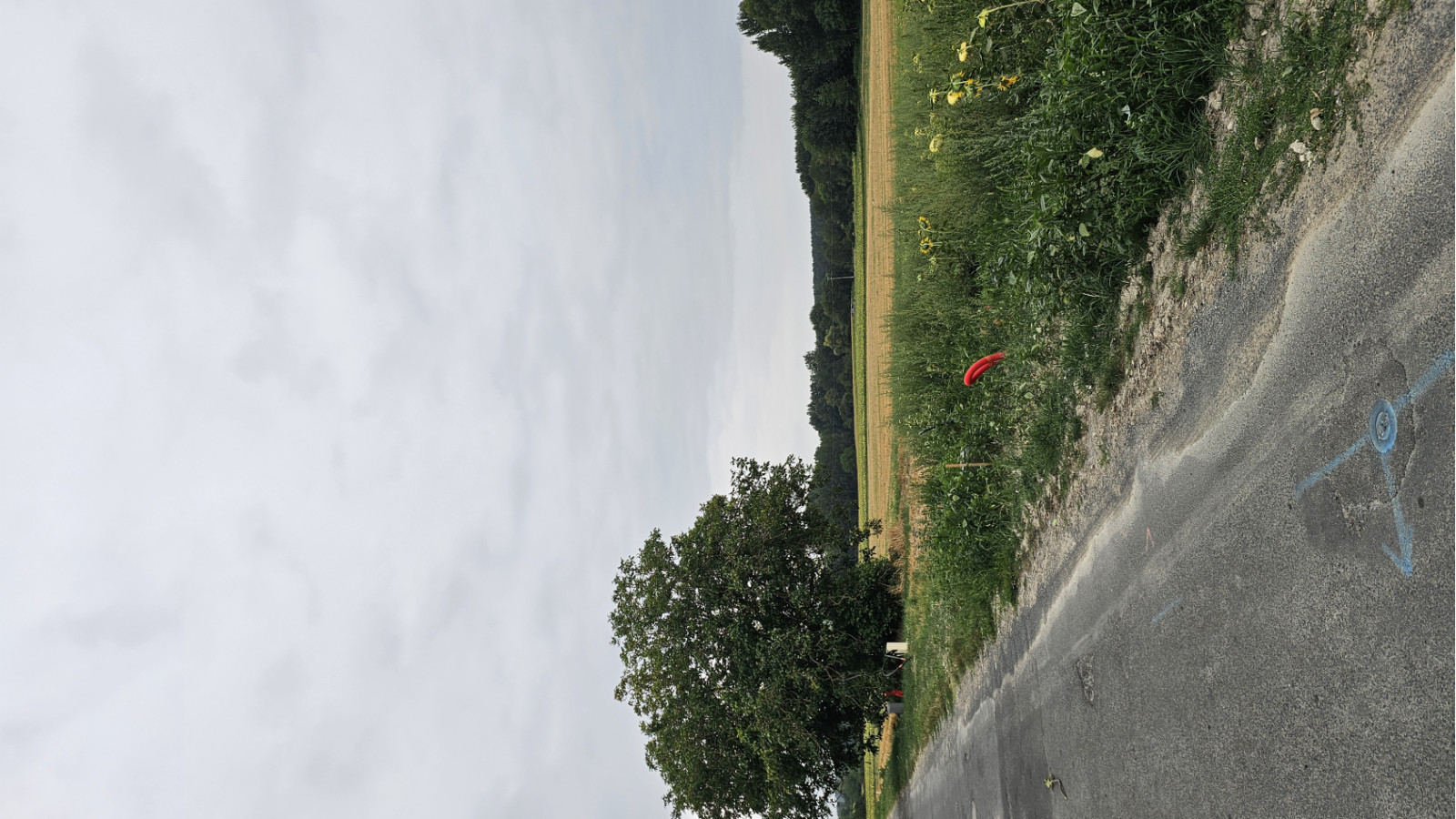 Terrain constructible de 513m2 à Distré/ image 1