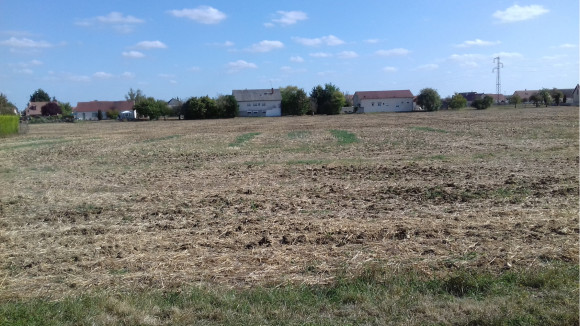 20180919_155216.jpg