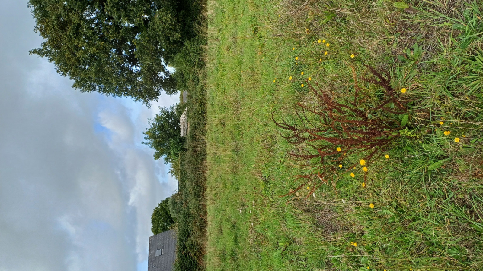Terrain constructible de 450m2 à Saint-Mars-du-Désert/ image 1
