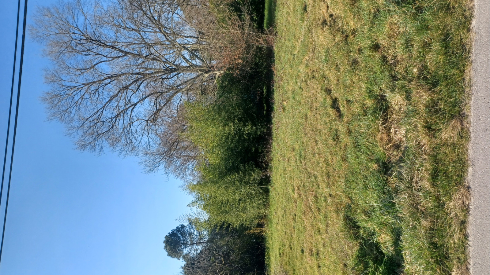 Terrain constructible de 928m2 à Martillac/ image 1