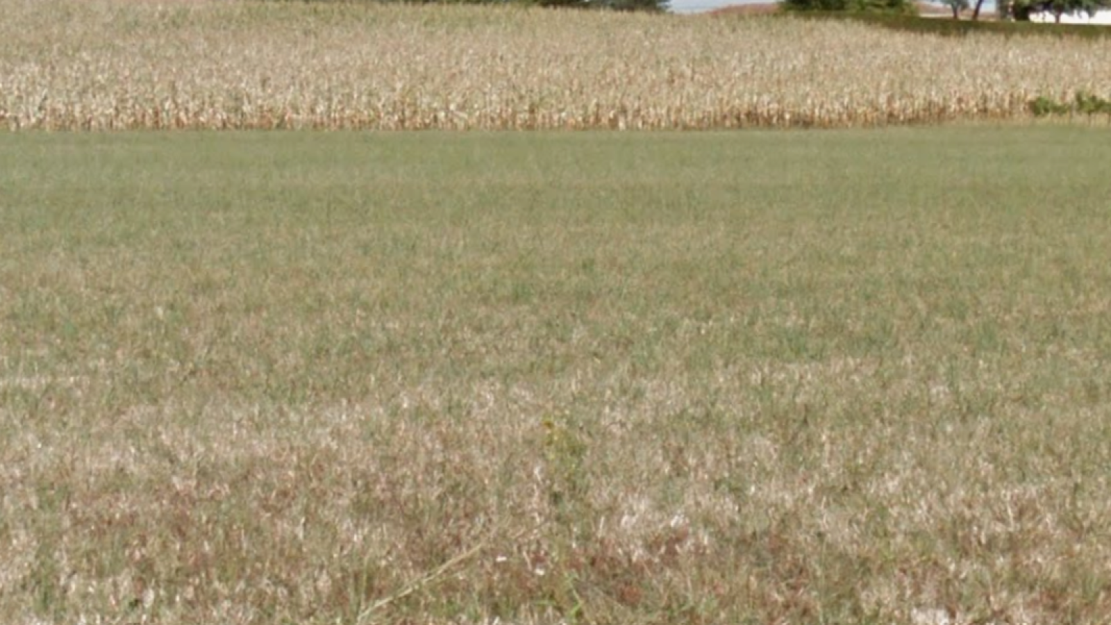 Terrain constructible de 629m2 à Peyrehorade/ image 1