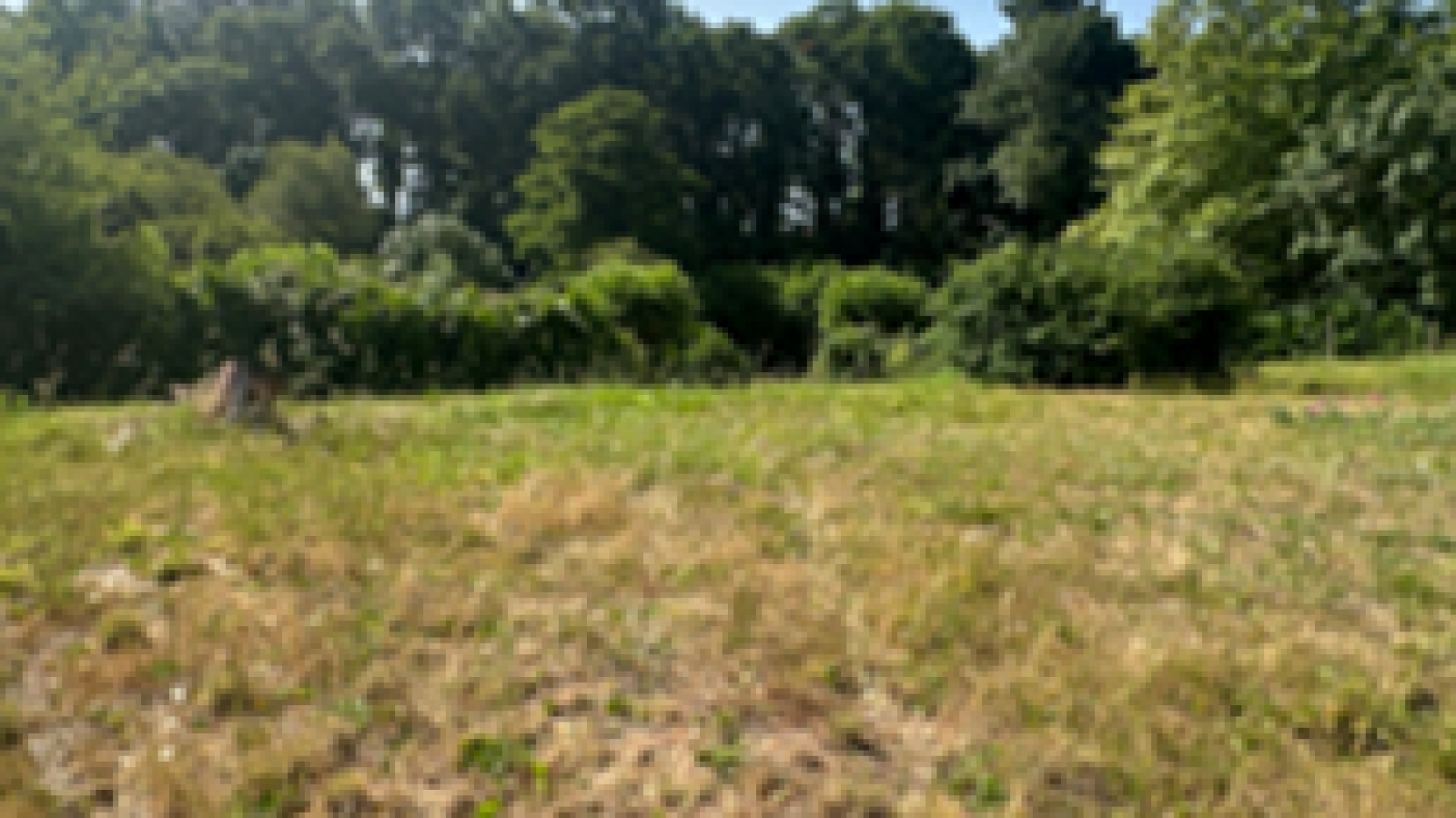 Terrain constructible de 900m2 à Saint-Vincent-de-Tyrosse/ image 1