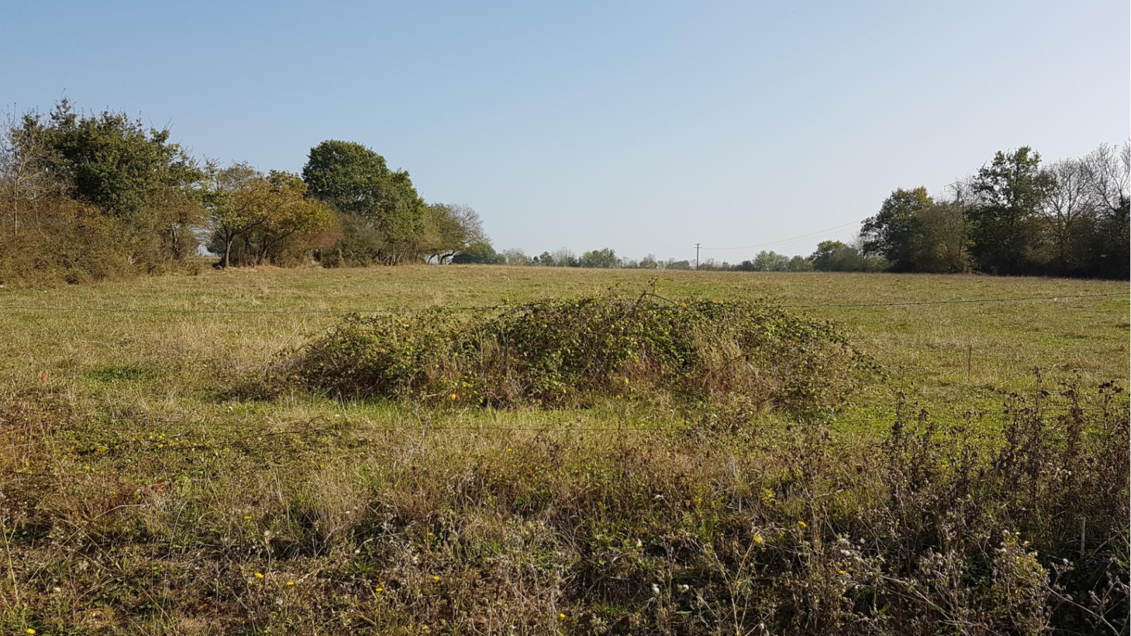 Terrain constructible de 467m2 à La Roche-Blanche/ image 1