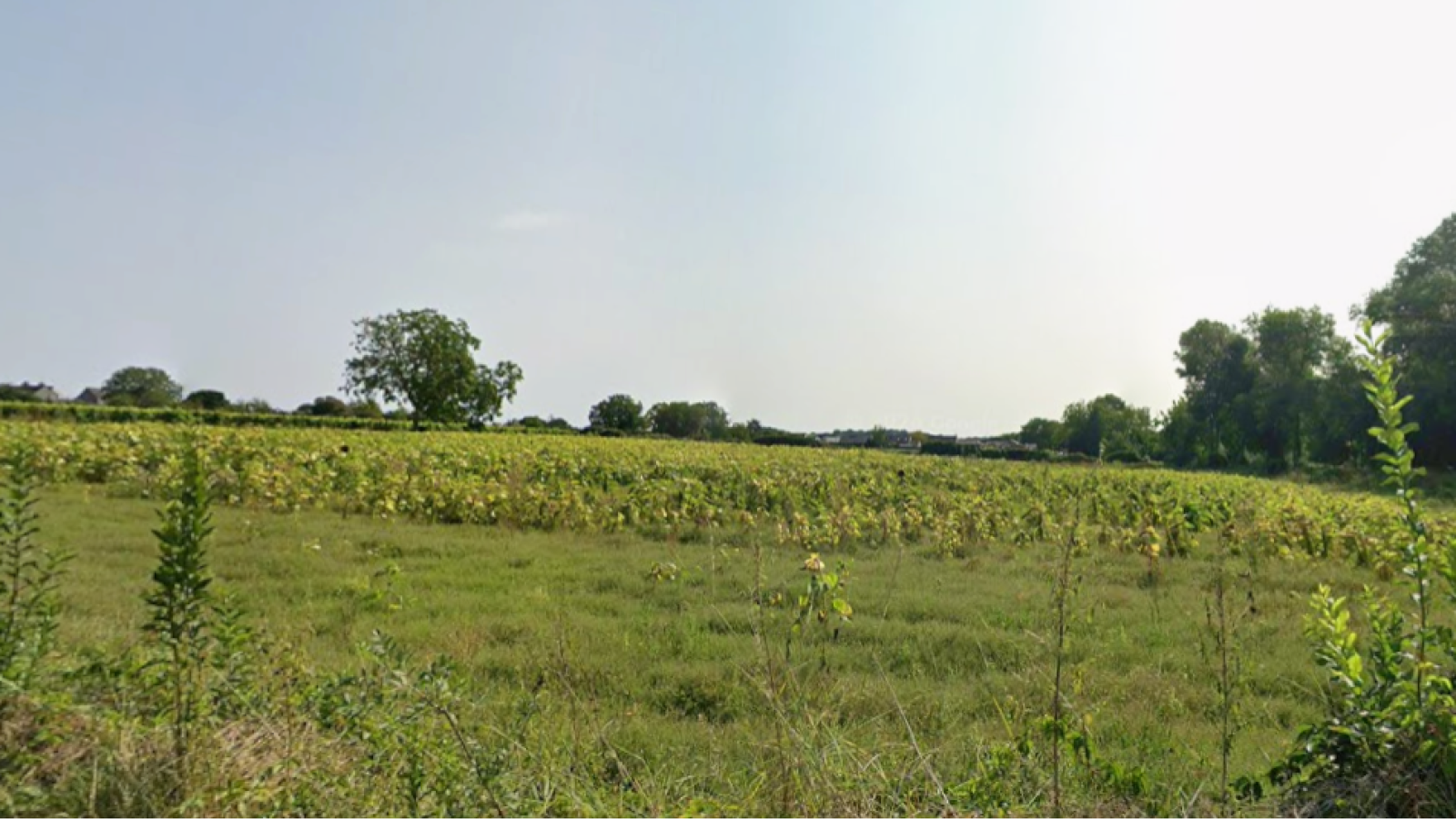 Terrain constructible de 550m2 à Bellevigne-les-Châteaux/ image 1
