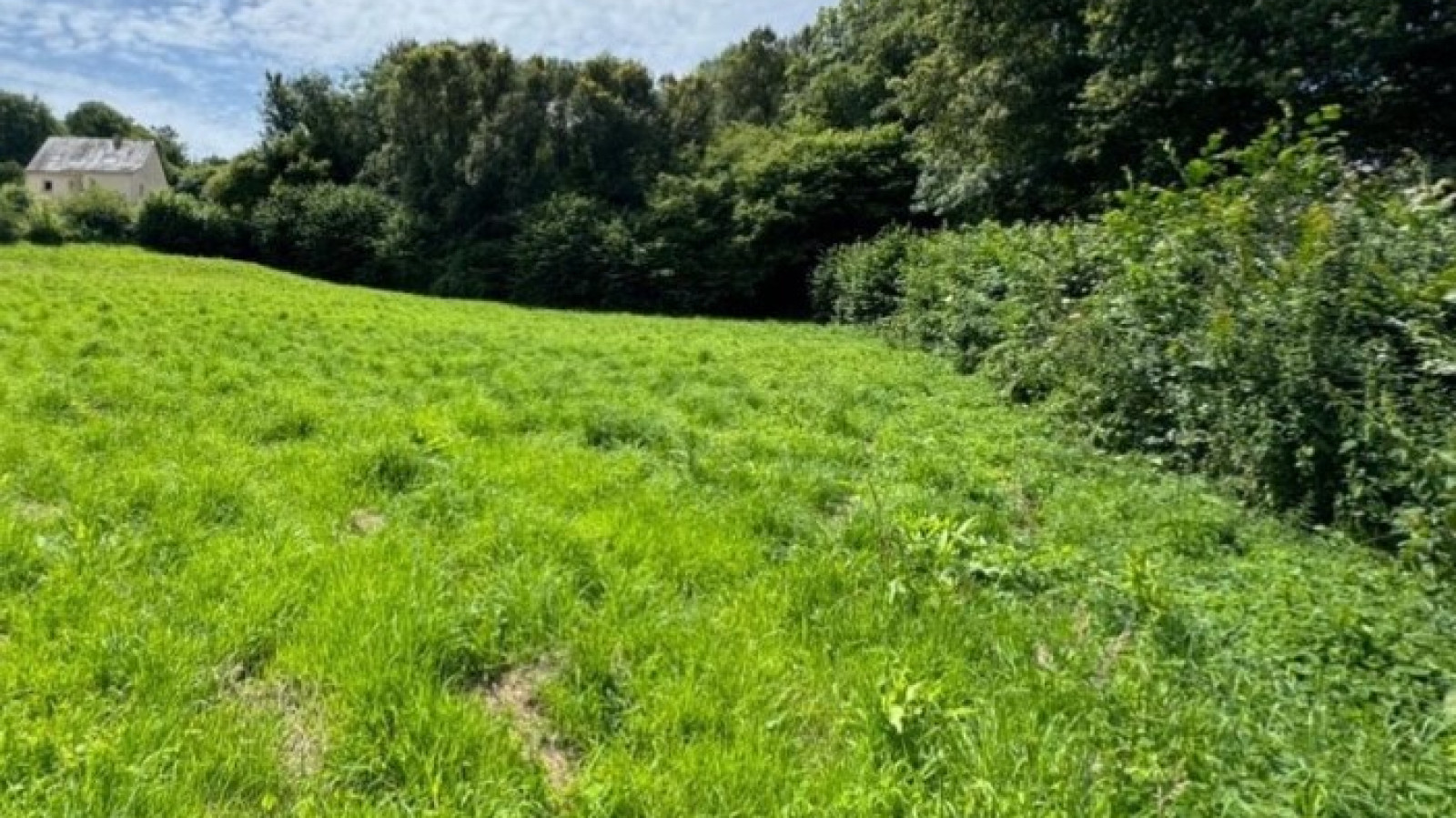 Terrain constructible de 280m2 à Lauzach/ image 1