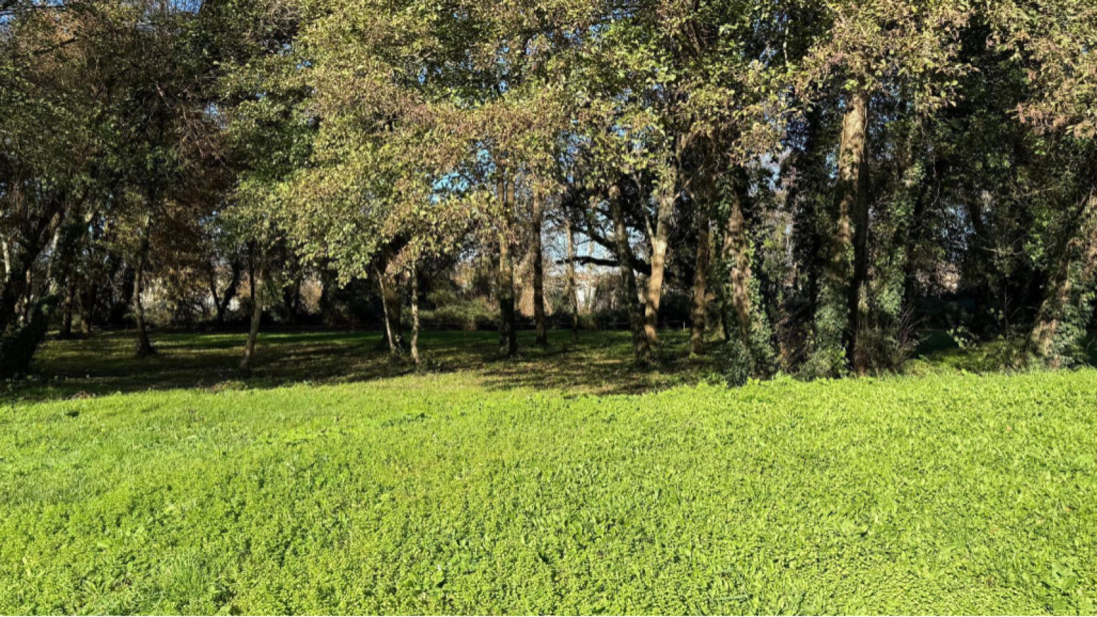 Terrain constructible de 1327m2 à La Brède/ image 1