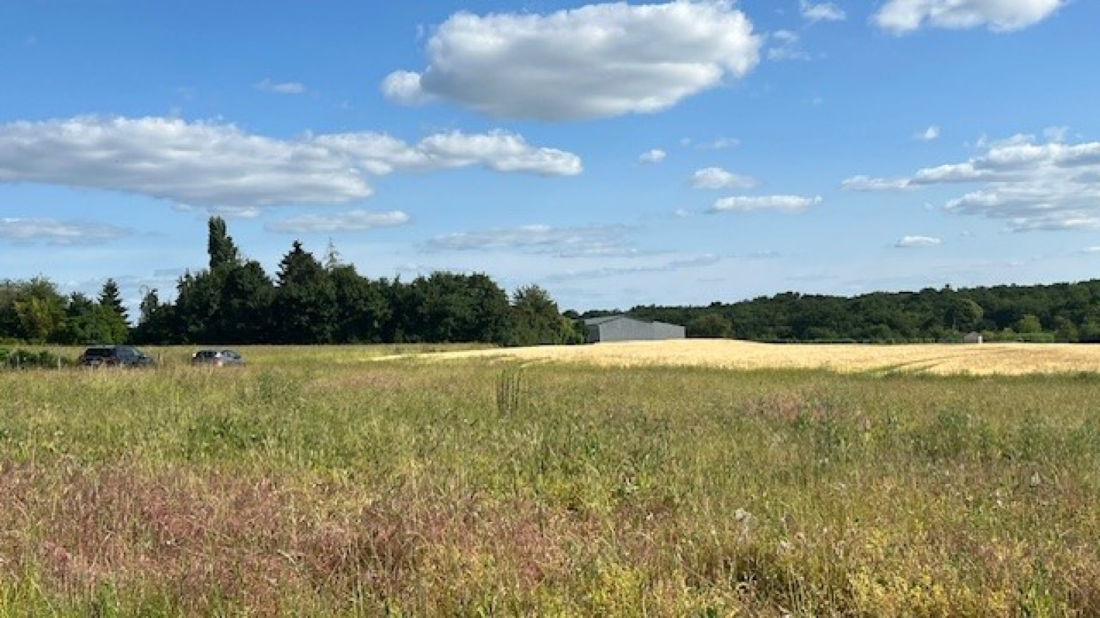 Terrain constructible de 1268m2 à Rouziers-de-Touraine/ image 1