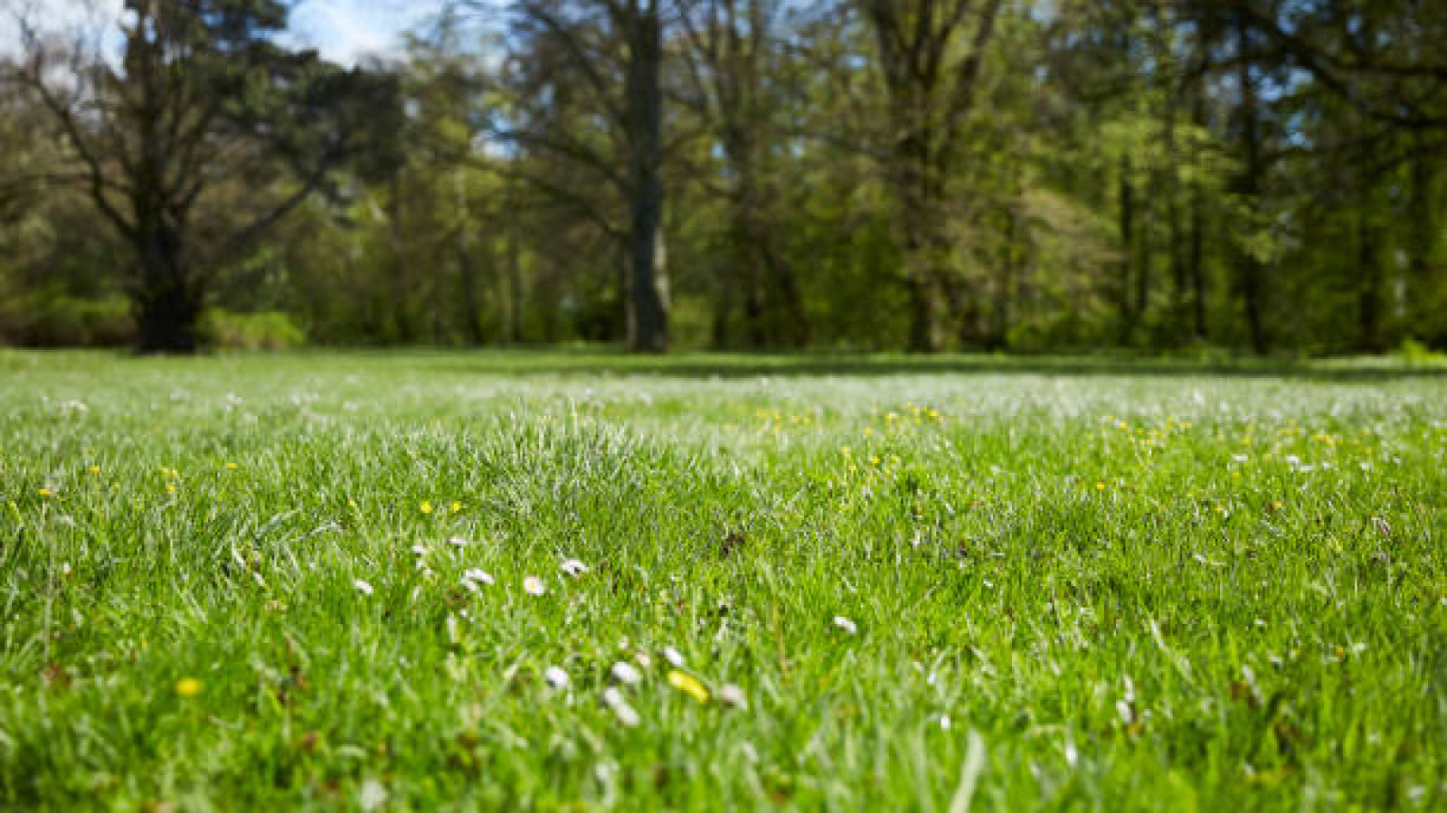 Terrain constructible de 525m2 à Langeais/ image 1