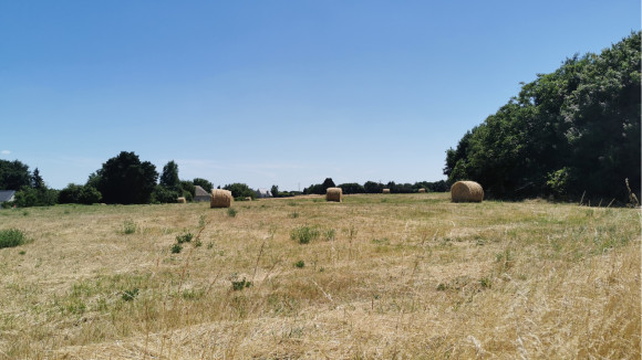 beaumont 9.jpg