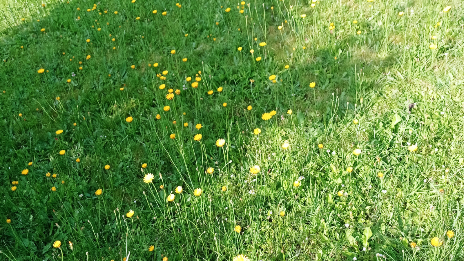 Terrain constructible de 484m2 à Montauban-de-Bretagne/ image 1