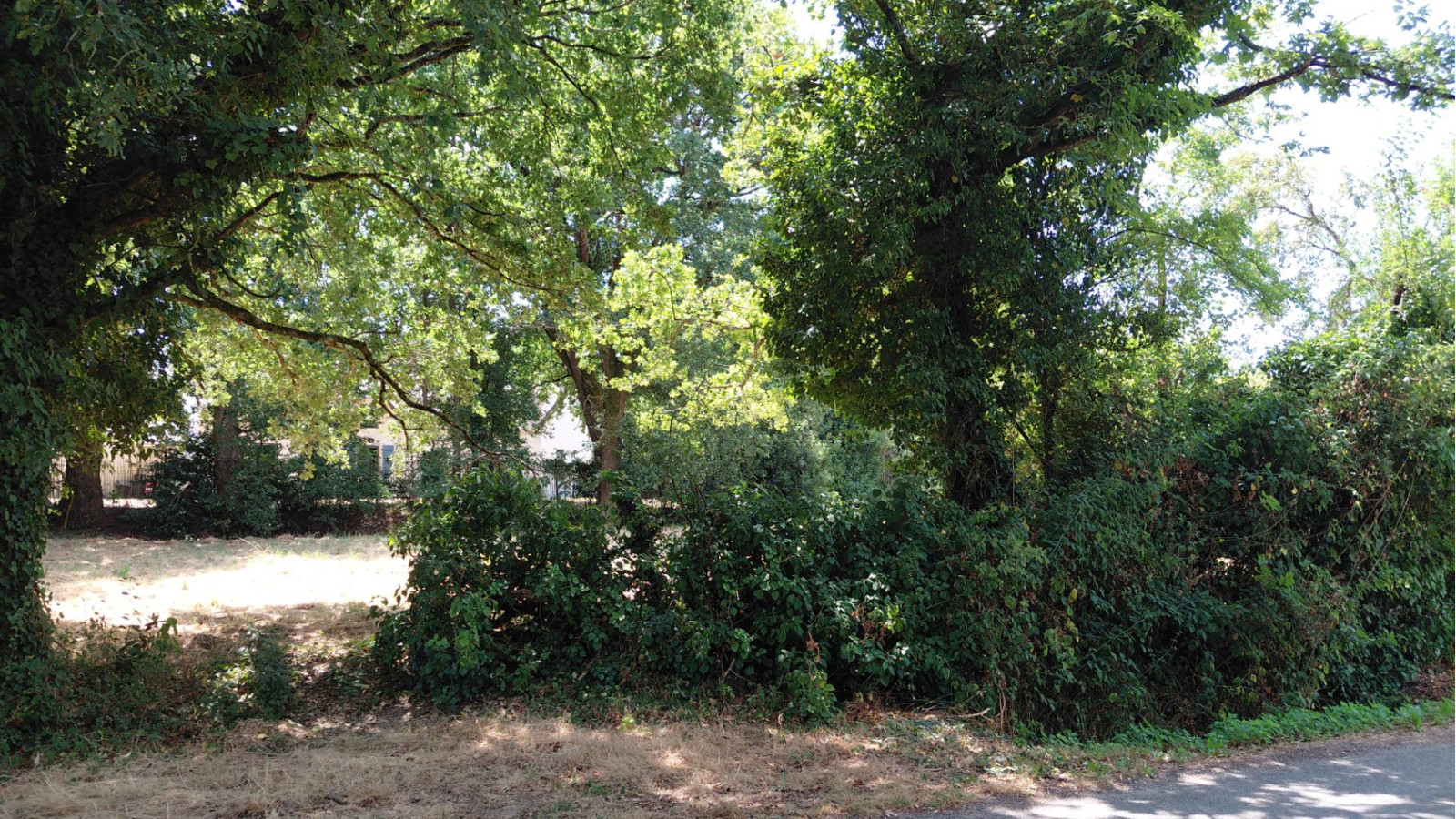 Terrain constructible de 900m2 à Sainte-Reine-de-Bretagne/ image 1