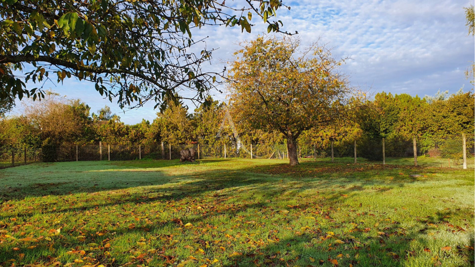 Terrain constructible de 600m2 à Lignières-de-Touraine/ image 1