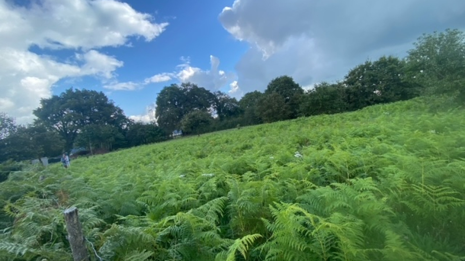 Terrain constructible de 1200m2 à Drefféac/ image 1
