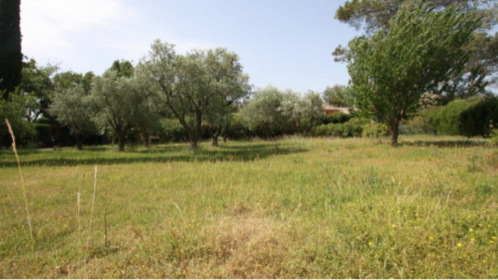 Terrain constructible de 1040m2 à Le Taillan-Médoc/ image 1