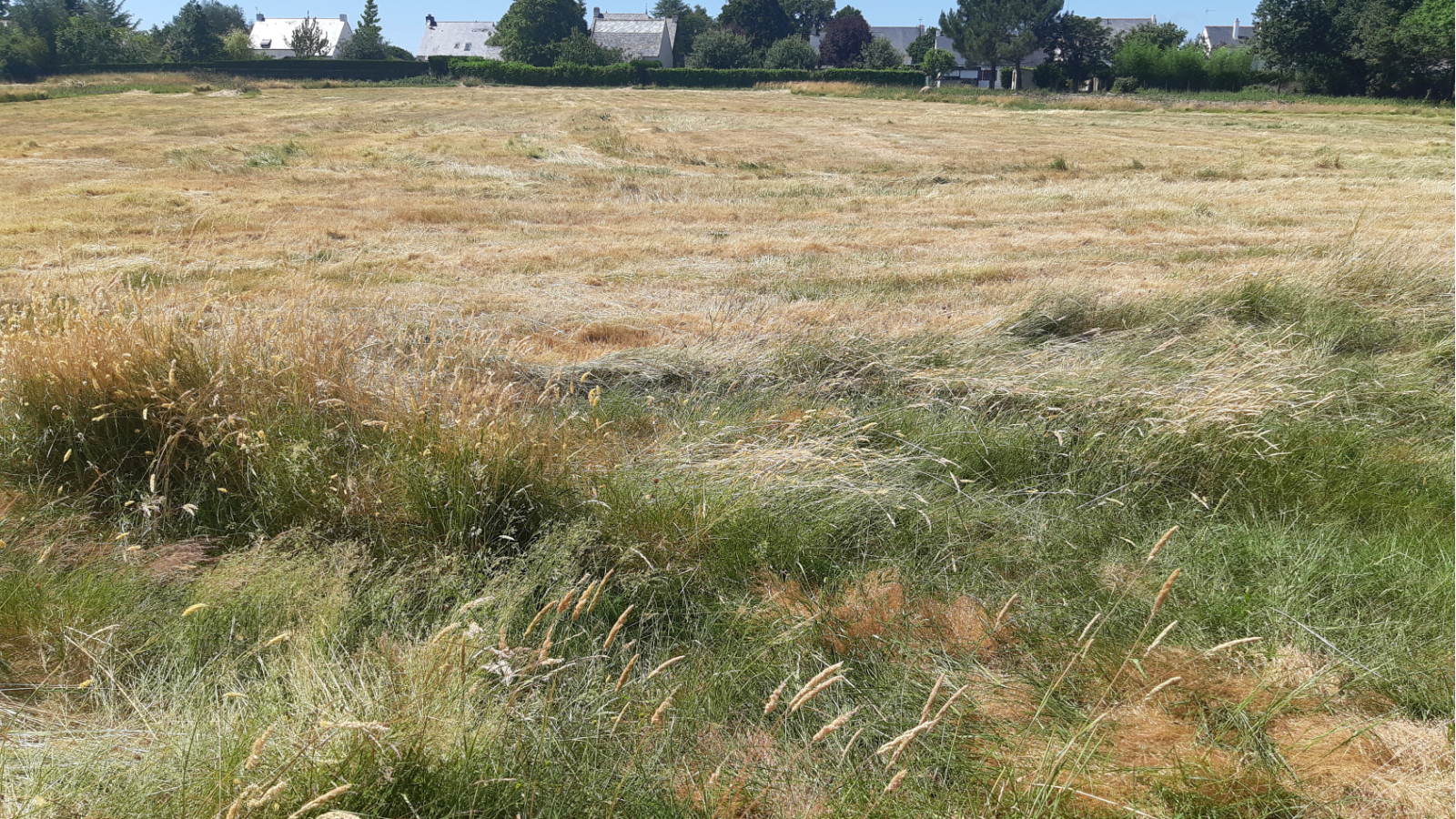 Terrain constructible de 2000m2 à La Chapelle-des-Marais/ image 1
