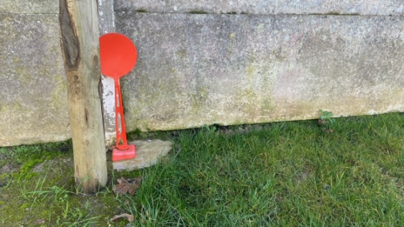 image4(5).jpeg