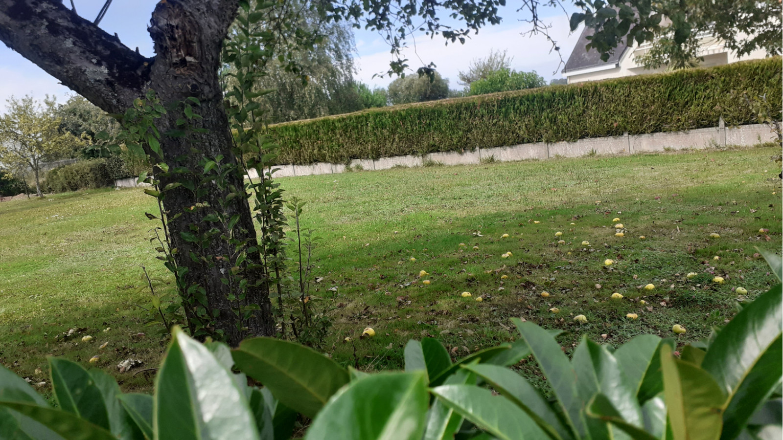 Terrain constructible de 620m2 à Férel/ image 1