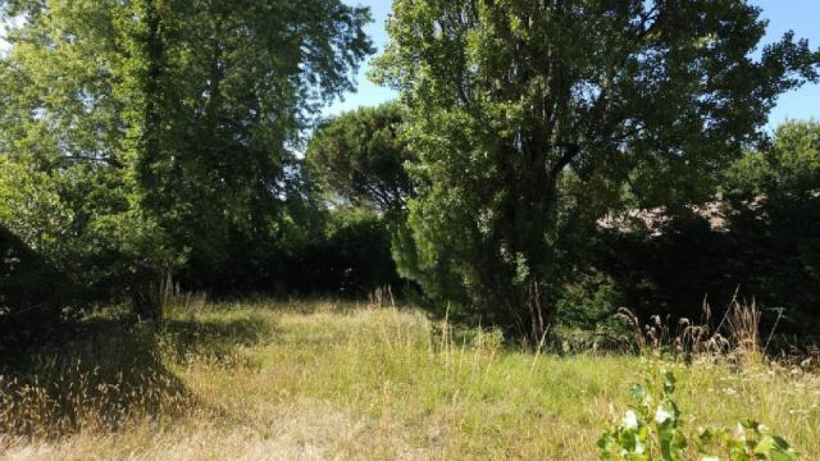 Terrain constructible de 613m2 à Le Teich/ image 1