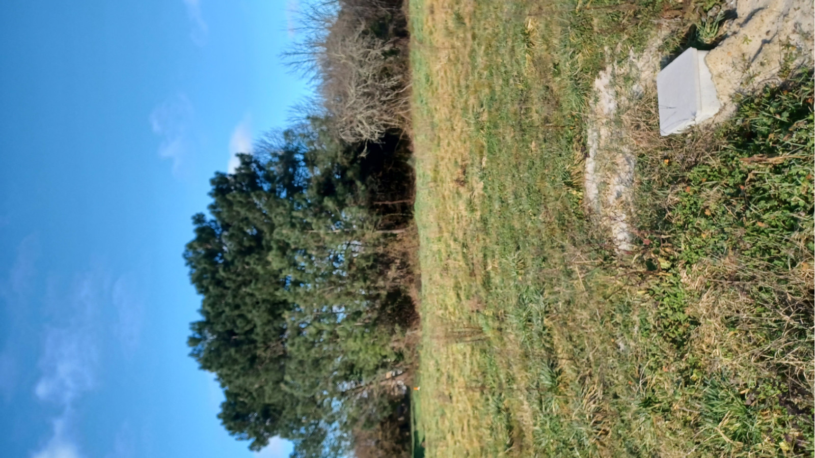 Terrain constructible de 429m2 à Vayres/ image 1