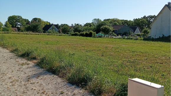 Terrain Villefargeau pour annonce.jpg
