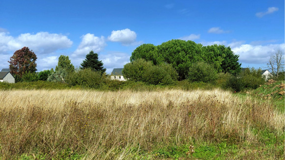20250915_134616~2 - Copie.jpg