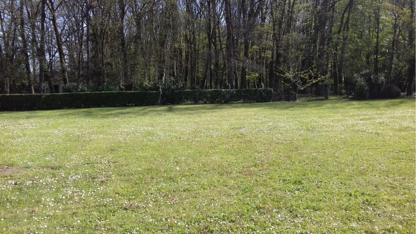 Terrain constructible de 910m2 à Doussay/ image 1