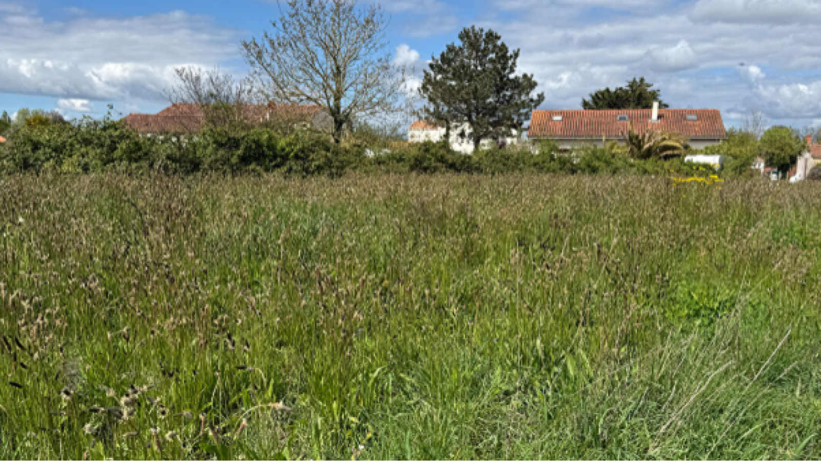 Terrain constructible de 600m2 à Talmont-Saint-Hilaire/ image 1