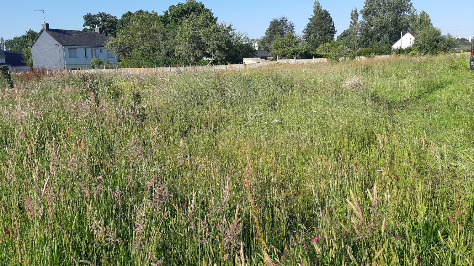 Terrain constructible de 850m2 à Plessé/ image 1