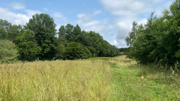 image3(21).jpeg