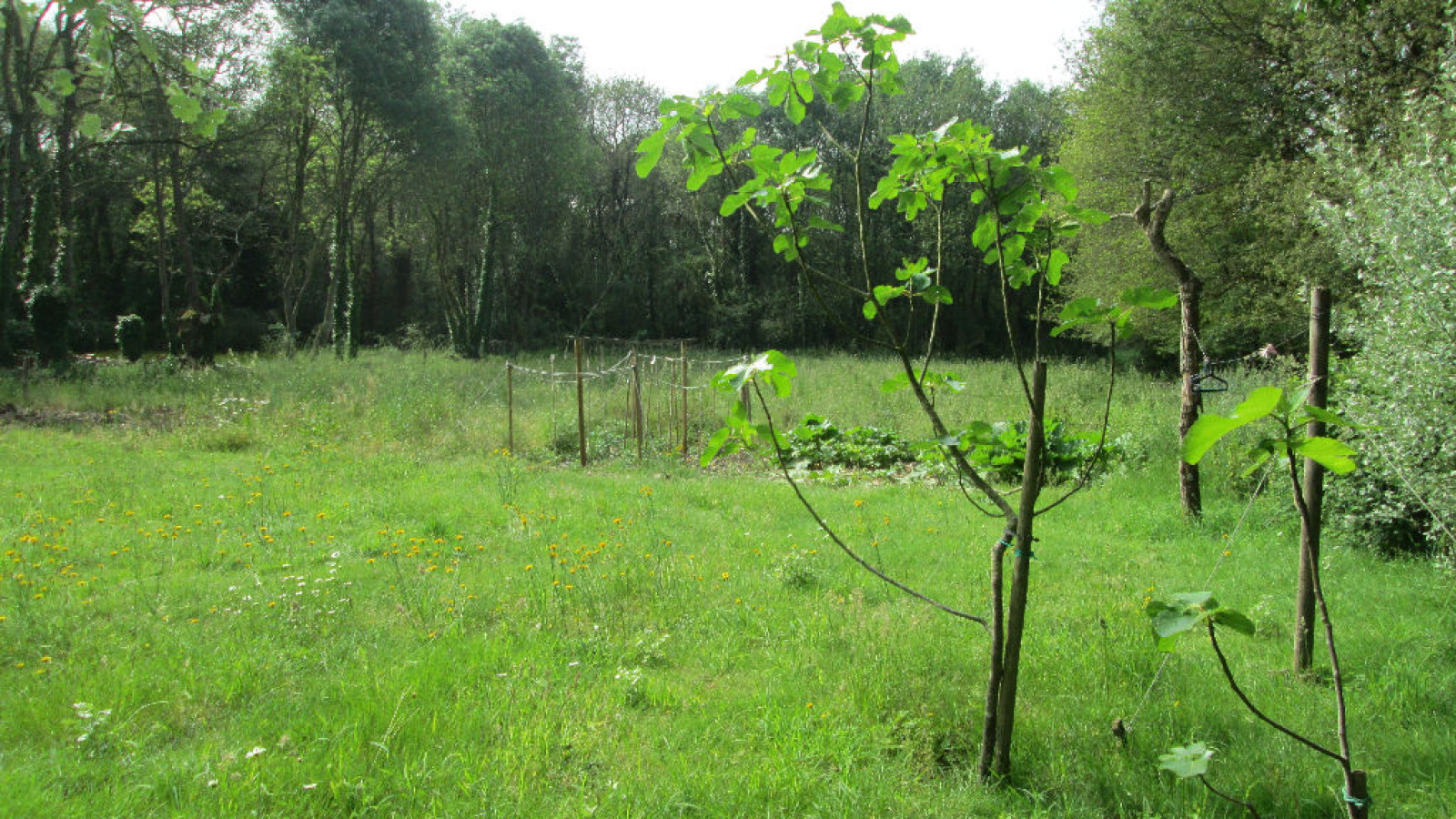 Terrain constructible de 1300m2 à Pontchâteau/ image 1