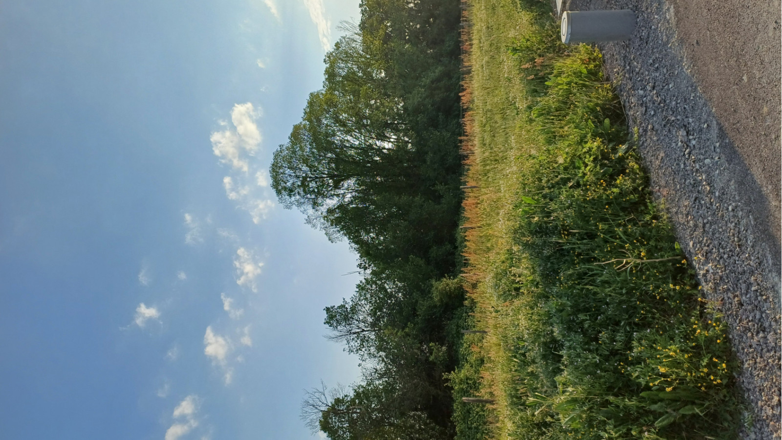 Terrain constructible de 394m2 à Ingrandes-le-Fresne-sur-Loire/ image 1