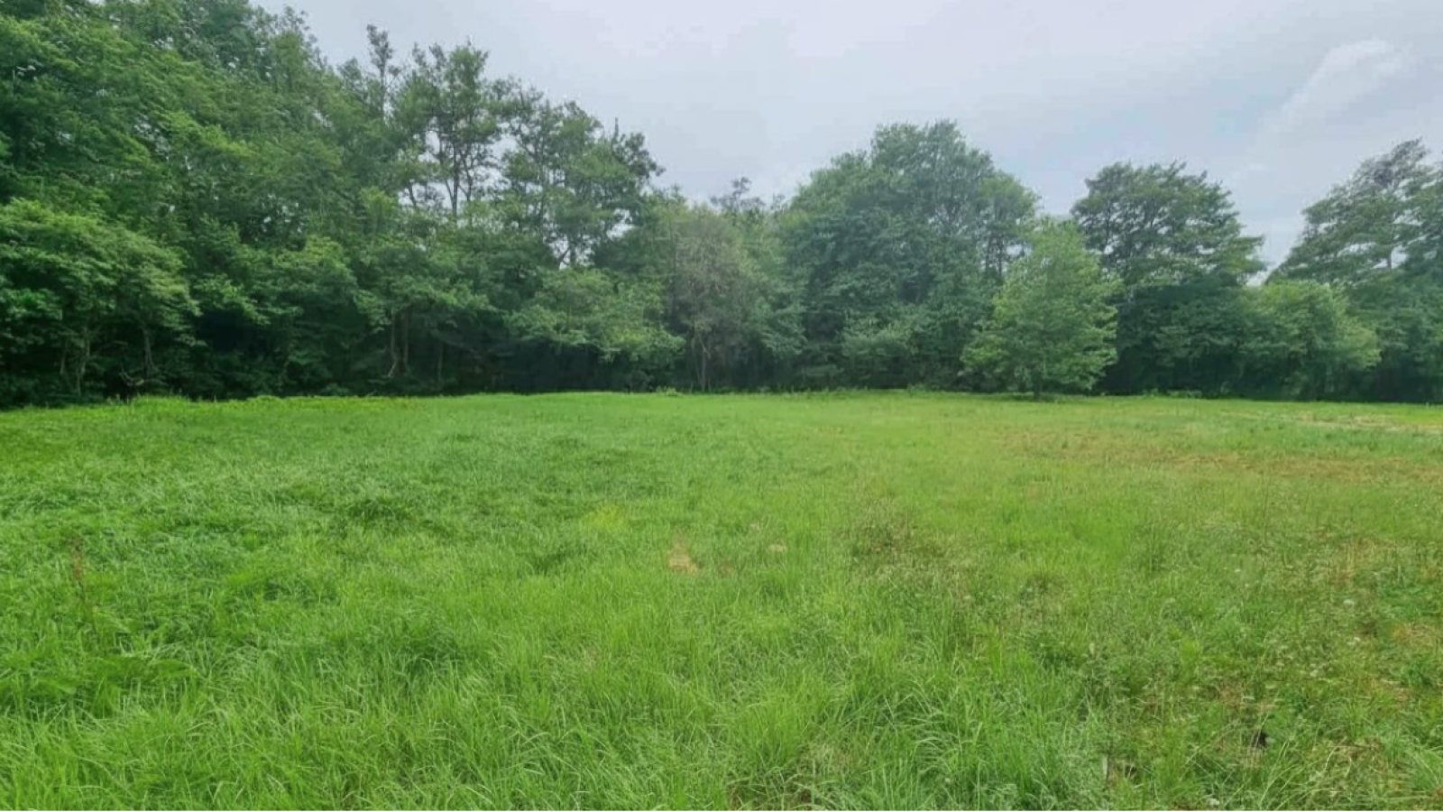 Terrain constructible de 2010m2 à Bonzac/ image 1
