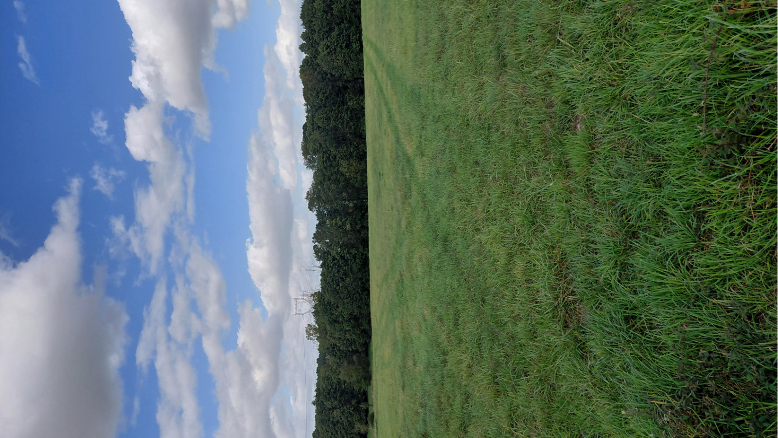 Terrain constructible de 526m2 à Saint-Laurent-en-Gâtines/ image 1