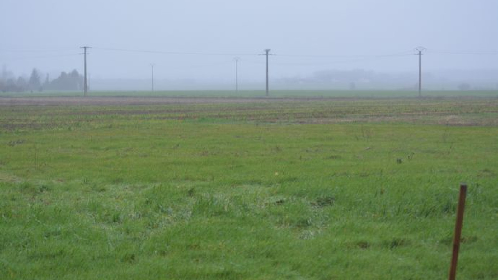 Terrain constructible de 1400m2 à Marçay/ image 1