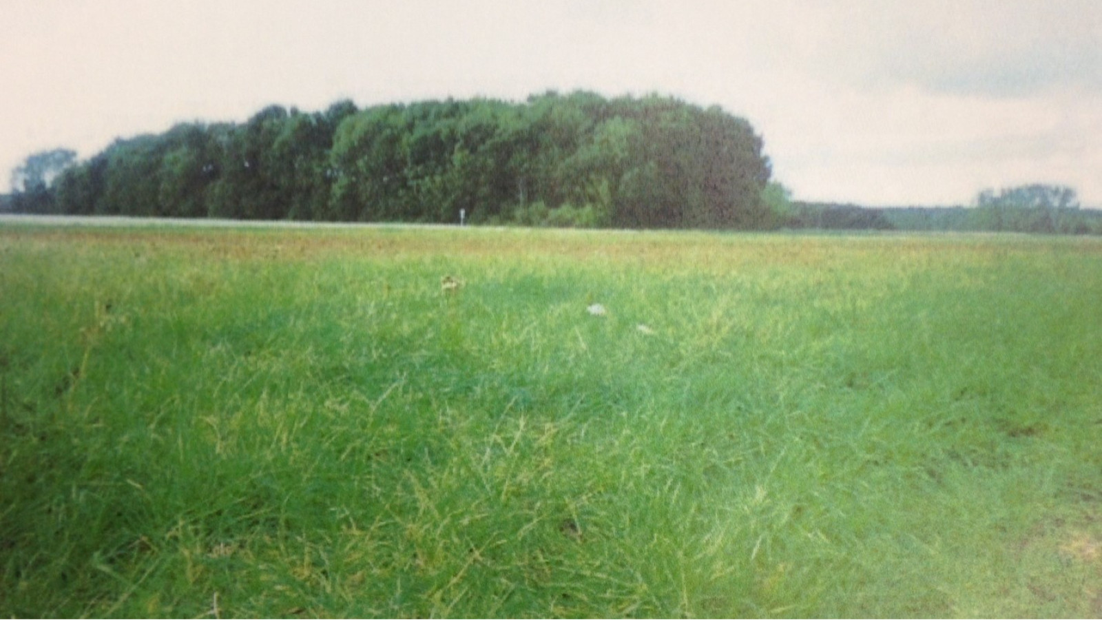 Terrain constructible de 481m2 à Montlouis-sur-Loire/ image 1