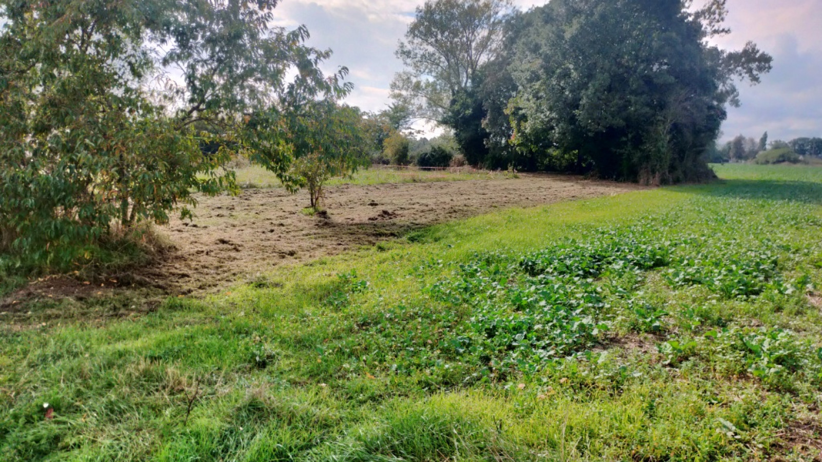 Terrain constructible de 525m2 à Langeais/ image 1